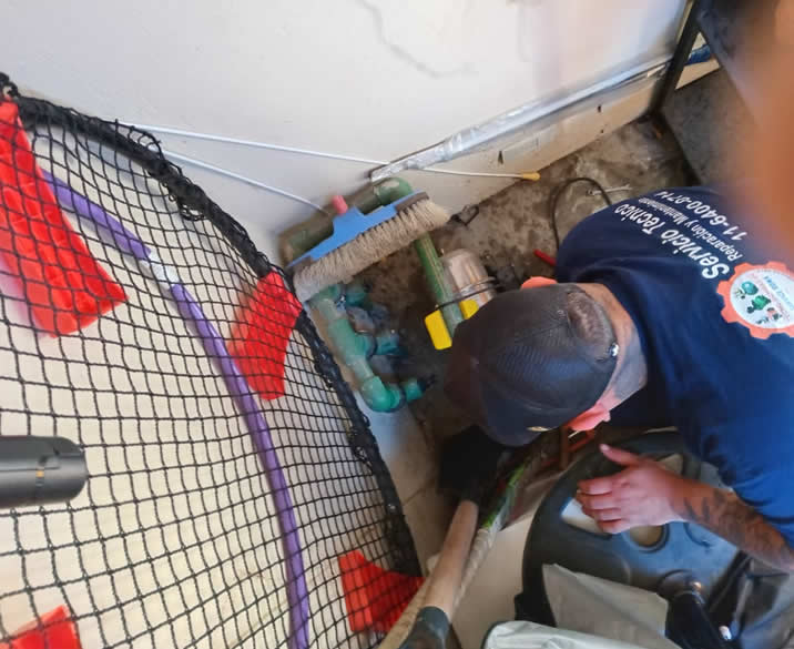 Galería de trabajos